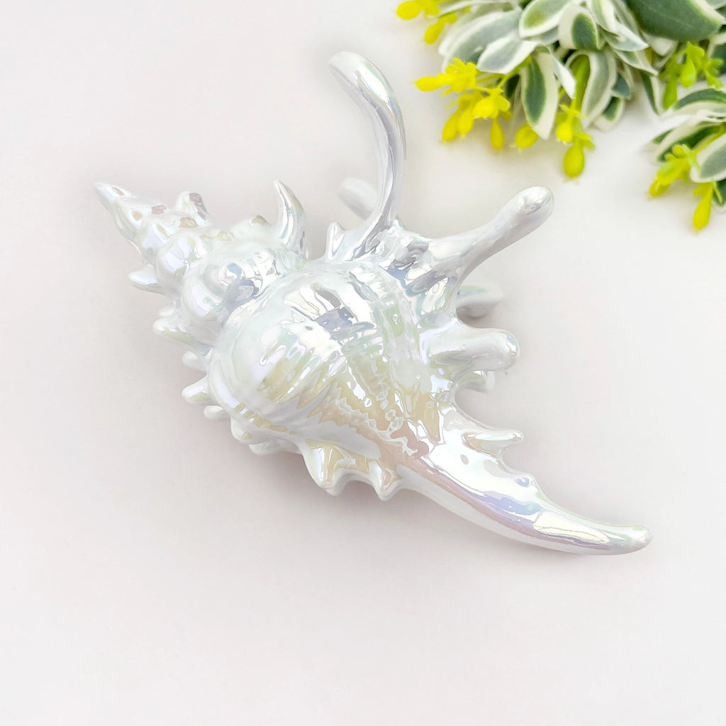 Seashell Claw Hair Clip/ Ocean-Inspired Marine Hair Clip