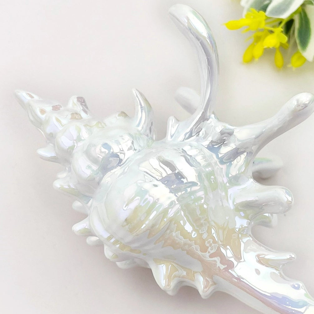 Seashell Claw Hair Clip/ Ocean-Inspired Marine Hair Clip