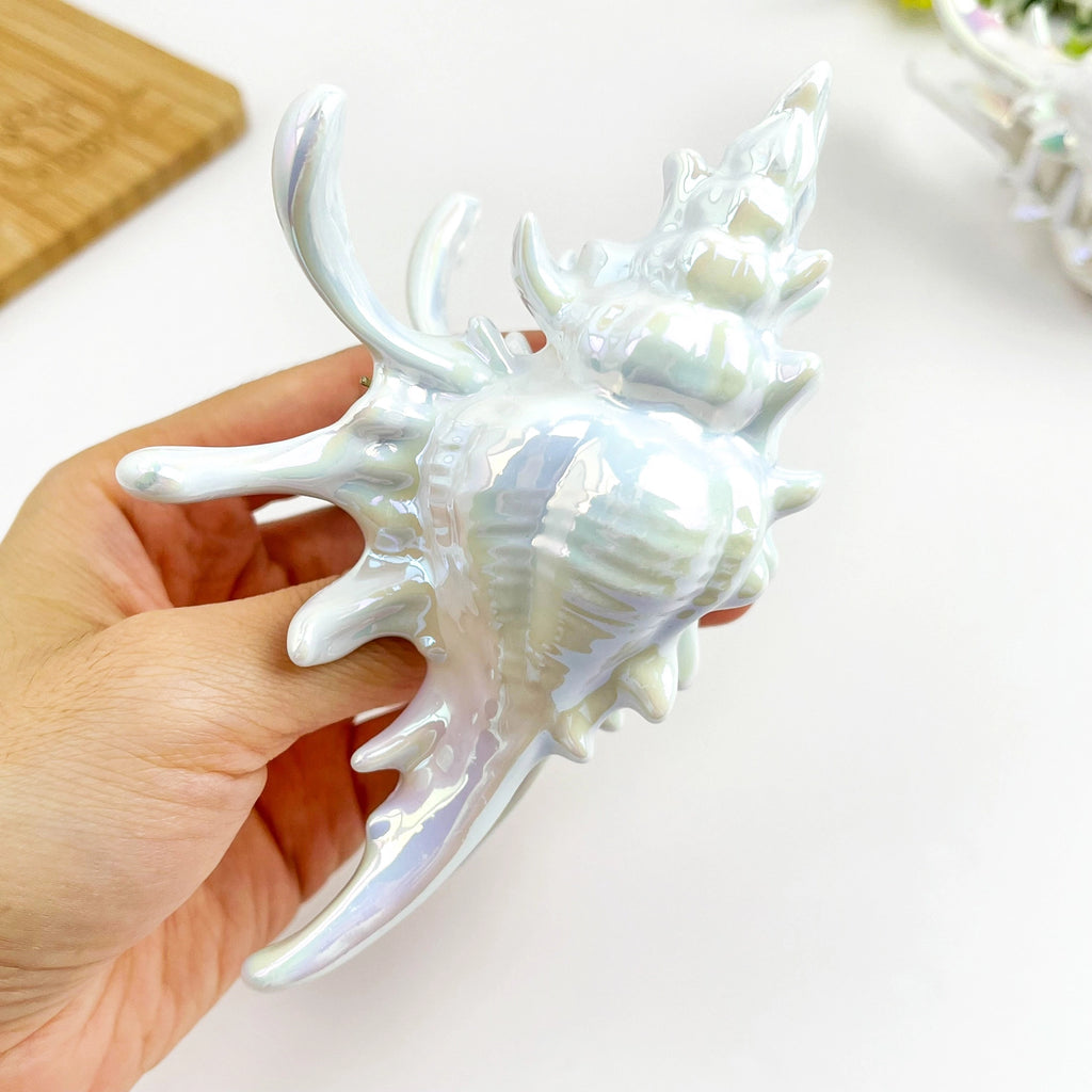 Seashell Claw Hair Clip/ Ocean-Inspired Marine Hair Clip