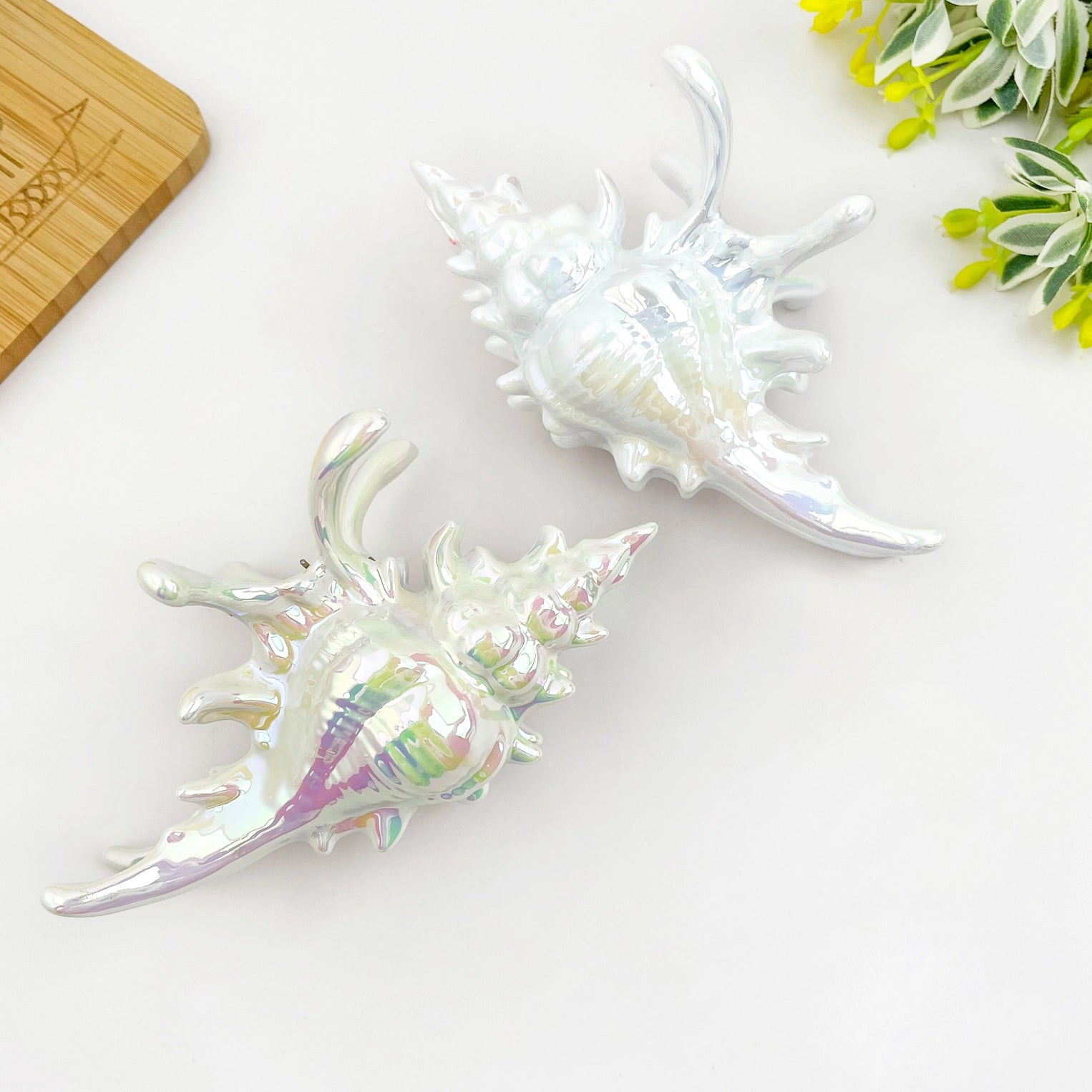 Seashell Claw Hair Clip/ Ocean-Inspired Marine Hair Clip